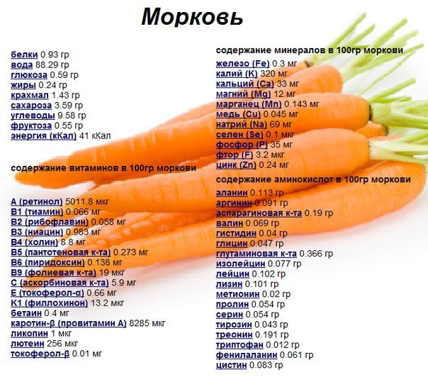 Морковь — польза и вред для организма женщины