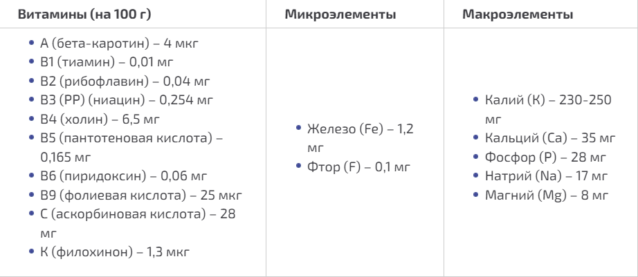 Редис: польза и вред для организма