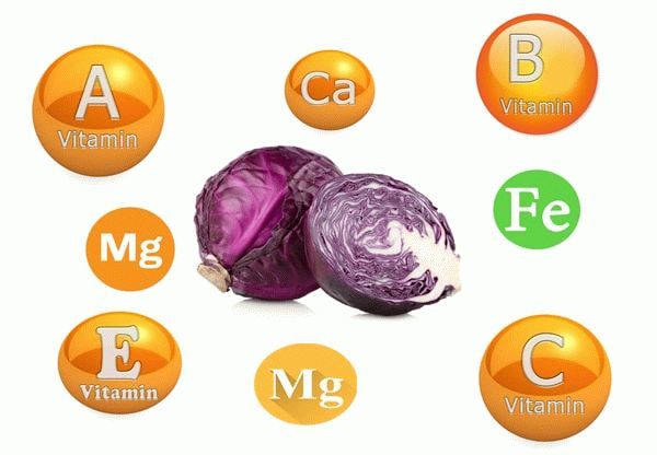 Белокочанная капуста: польза и вред для организма